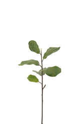 Geige Blatt Zweig Pl Dark Grn S - (12511)